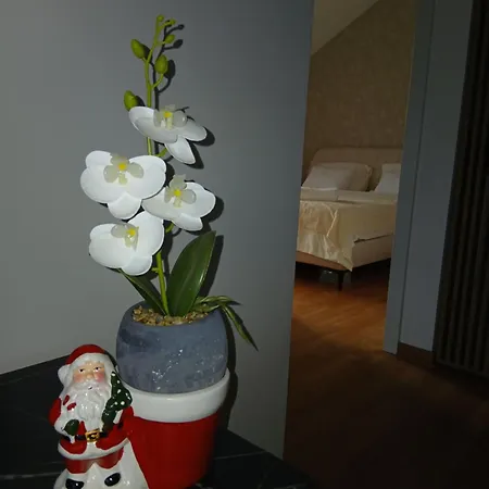 33 Апартаменты