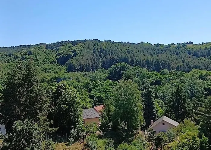 Апартаменты 33